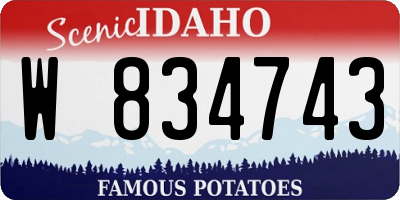 ID license plate W834743