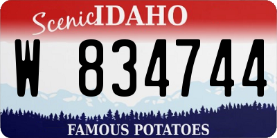 ID license plate W834744