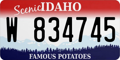 ID license plate W834745