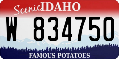 ID license plate W834750