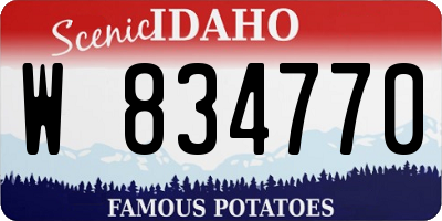 ID license plate W834770