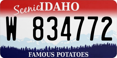ID license plate W834772