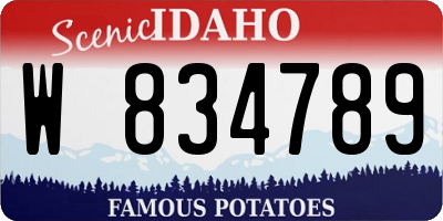 ID license plate W834789