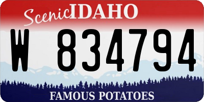 ID license plate W834794