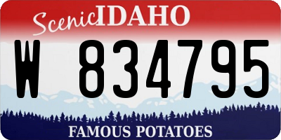 ID license plate W834795