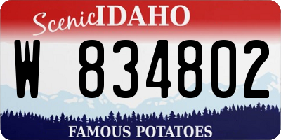 ID license plate W834802