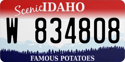 ID license plate W834808