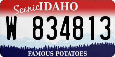 ID license plate W834813
