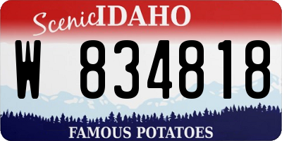 ID license plate W834818