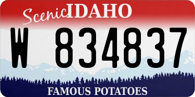 ID license plate W834837