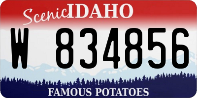 ID license plate W834856