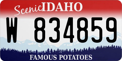 ID license plate W834859