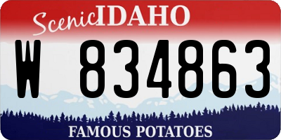 ID license plate W834863