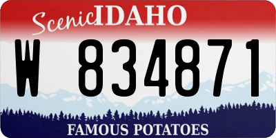 ID license plate W834871