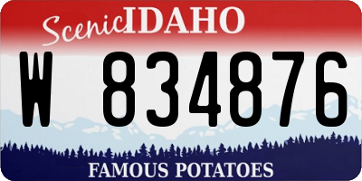 ID license plate W834876