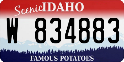 ID license plate W834883