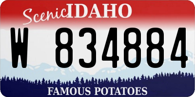 ID license plate W834884