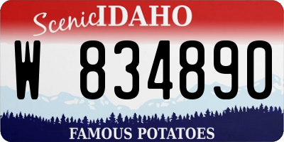 ID license plate W834890