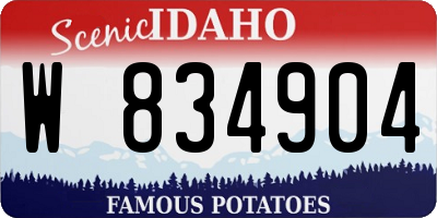ID license plate W834904