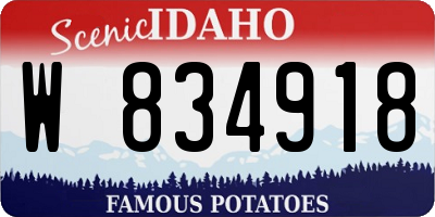 ID license plate W834918