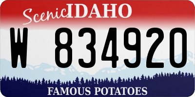 ID license plate W834920