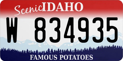 ID license plate W834935