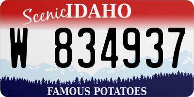 ID license plate W834937