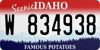 ID license plate W834938