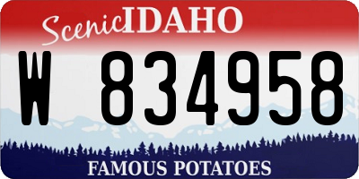 ID license plate W834958