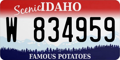 ID license plate W834959
