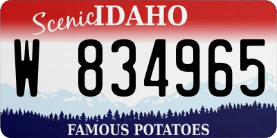 ID license plate W834965