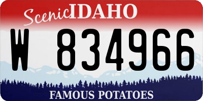 ID license plate W834966