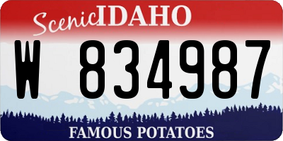 ID license plate W834987