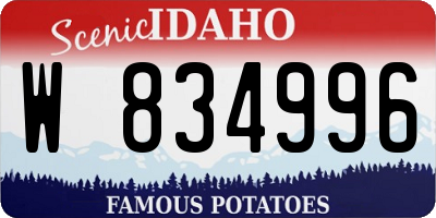 ID license plate W834996