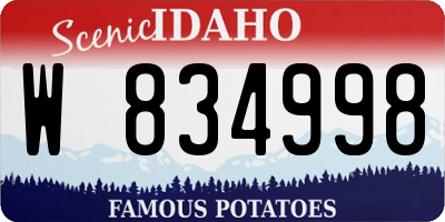 ID license plate W834998