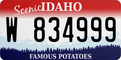 ID license plate W834999