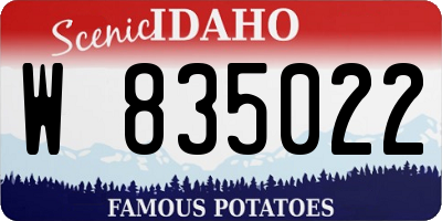 ID license plate W835022