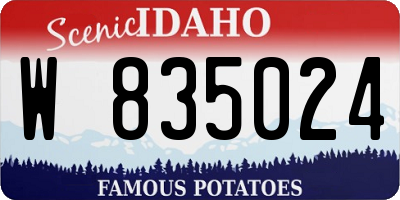 ID license plate W835024