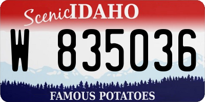 ID license plate W835036