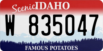 ID license plate W835047