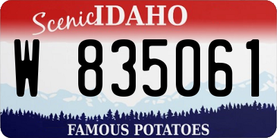 ID license plate W835061