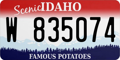 ID license plate W835074