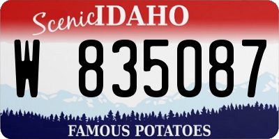 ID license plate W835087