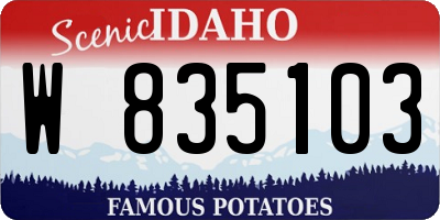 ID license plate W835103