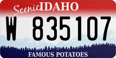 ID license plate W835107