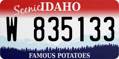 ID license plate W835133