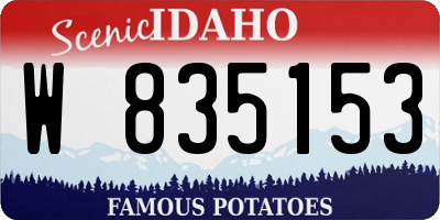 ID license plate W835153