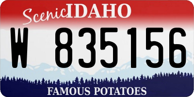 ID license plate W835156