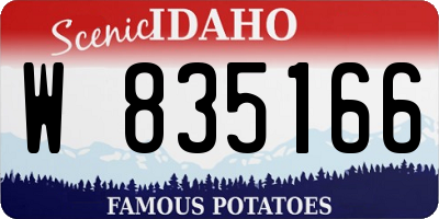 ID license plate W835166
