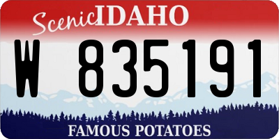 ID license plate W835191